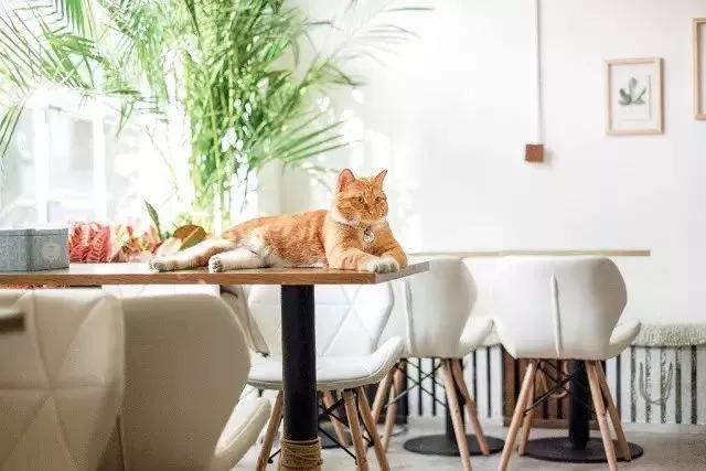 10大赚钱副业摆地摊卖什么最赚钱,做一个摆地摊的姑娘该如何入手