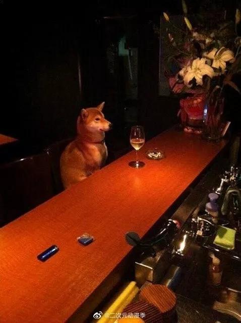 又一位肌肉*男猛**出现了，这个系列永不完结……