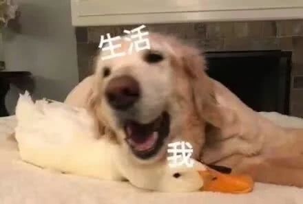 女性买保险最好买什么保险,女性买保险的重要性