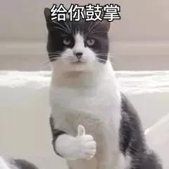 成都新津房子值不值得买,成都远郊新津的房子值得买吗