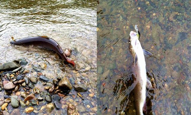 俄罗斯适合什么方法钓鱼,俄罗斯人是如何捕鱼的