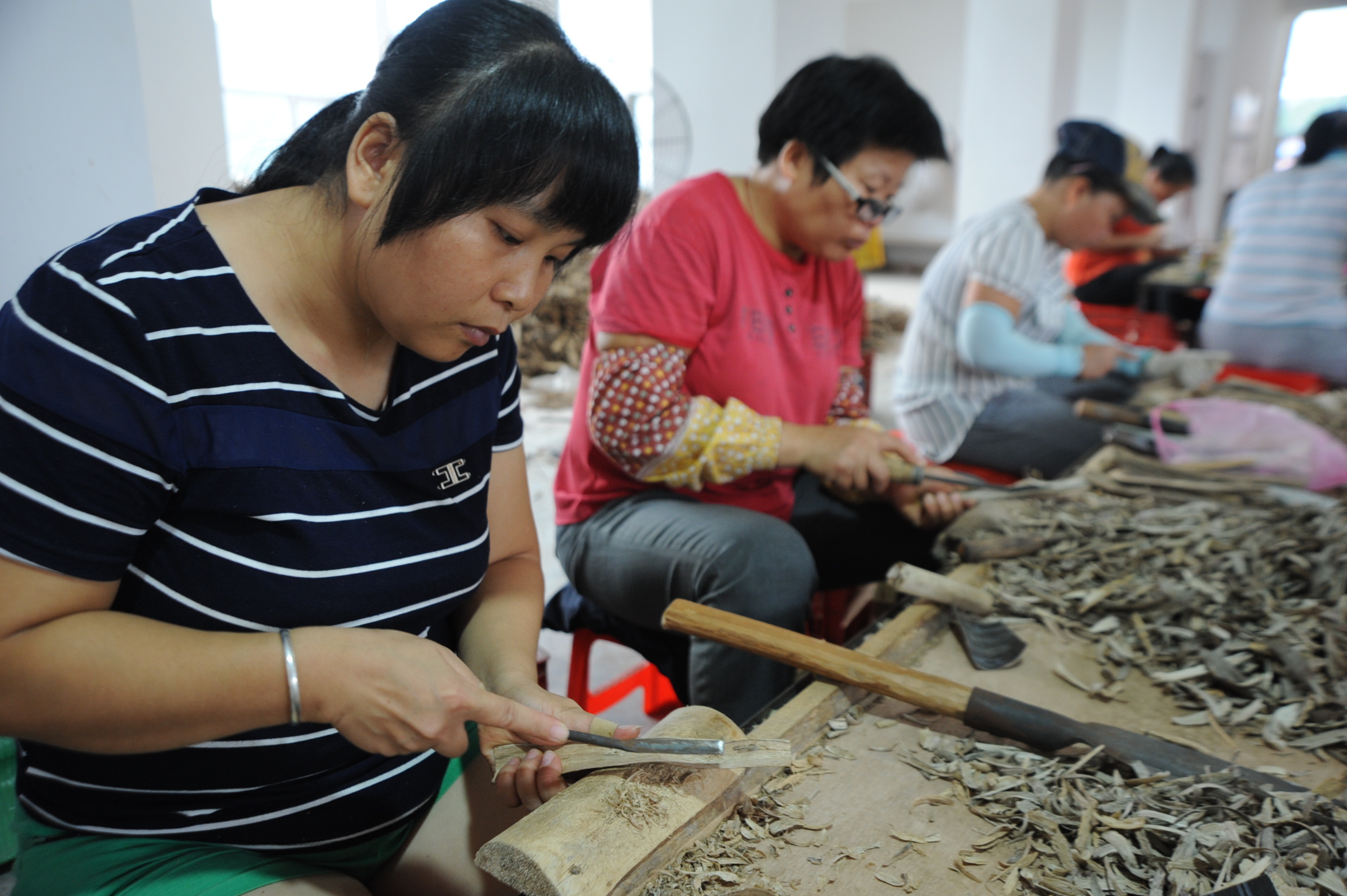 身价过亿的沉香种植小伙子,小伙投资五百万种300亩沉香