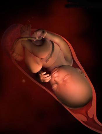 30至40周胎儿可以长多少斤,孕34周到38周胎儿体重能长多少斤