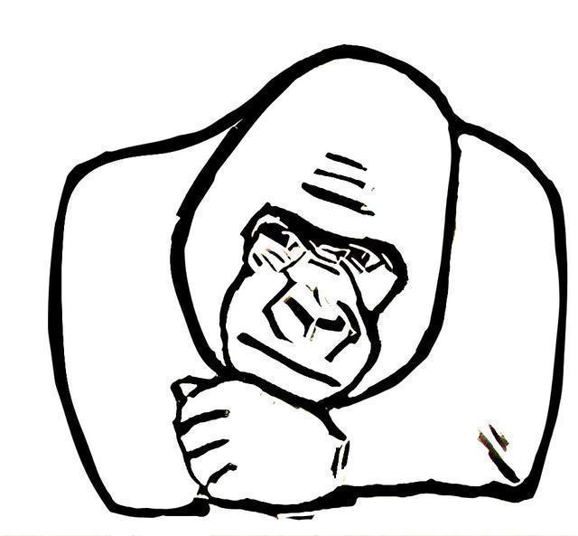 移民德国就医攻略,德国公立保险和私立保险怎么购买