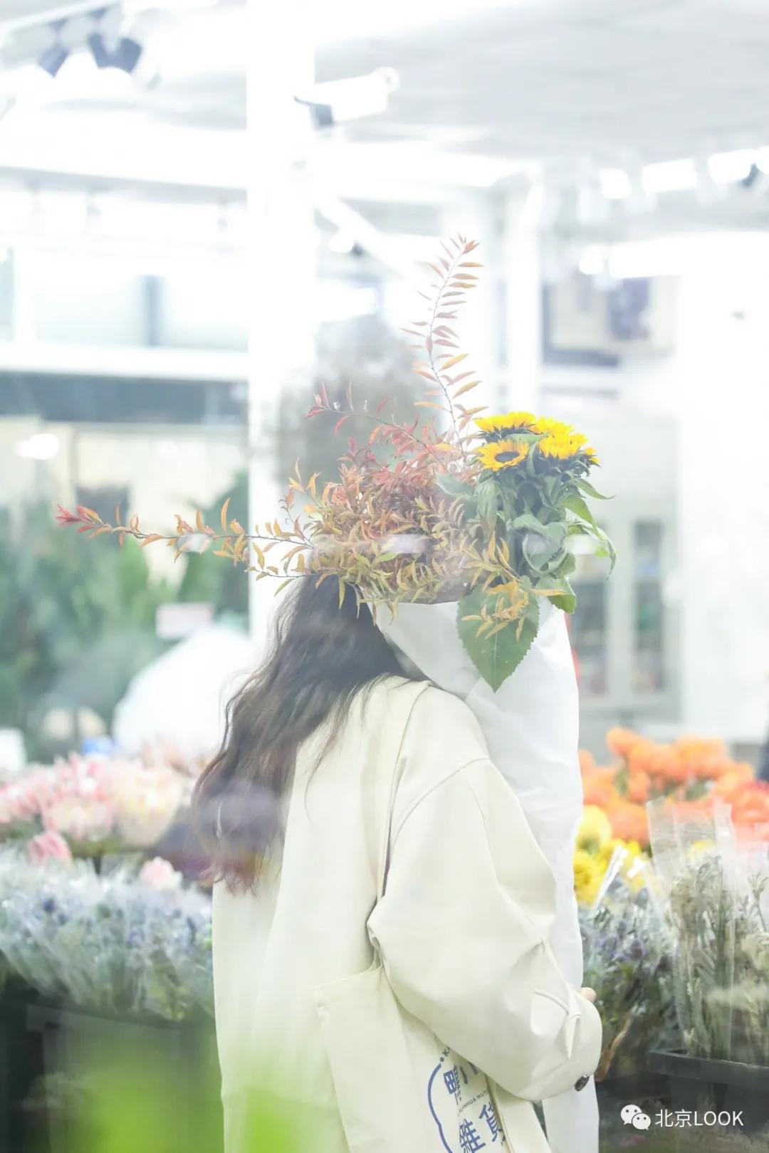 北京最大的露天花卉,北京最大的花卉大观园