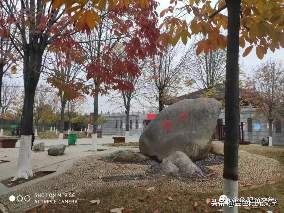 新年快乐春天的气息,新年快乐金色的童年