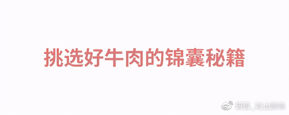 牛肉先锋|挑选好牛肉的锦囊妙计,“庖丁解牛”了解一下