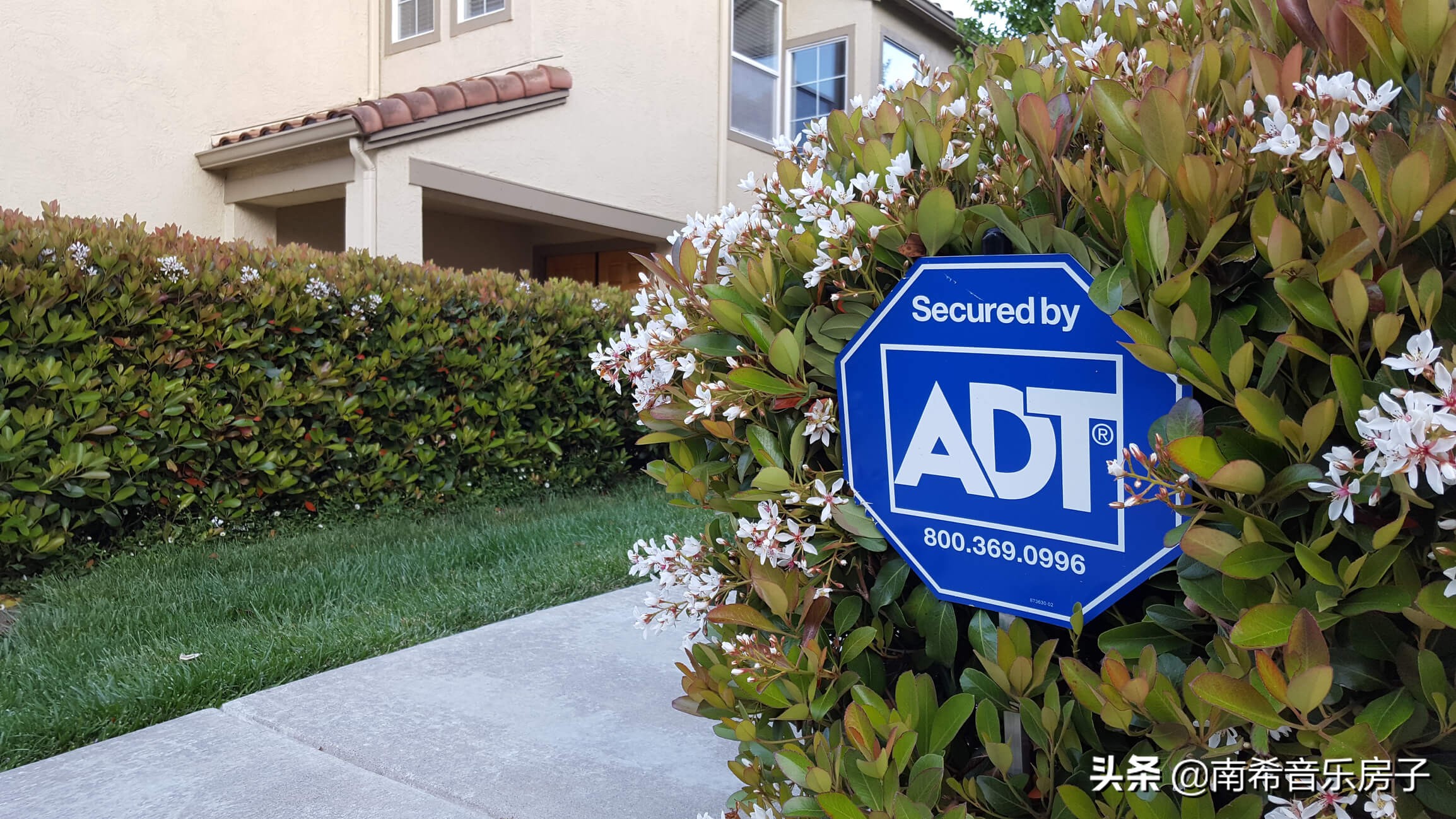 温哥华列治文独立屋,住在温哥华的好处