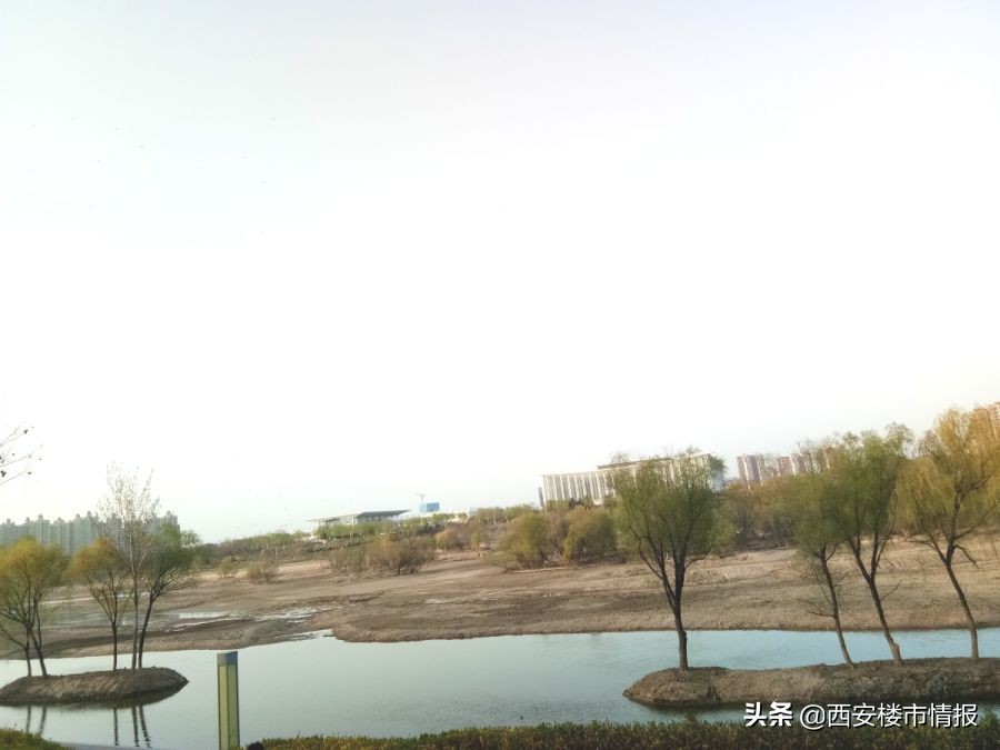 实探济南万科受关注高的楼盘,实地踩盘万科皇马郦宫