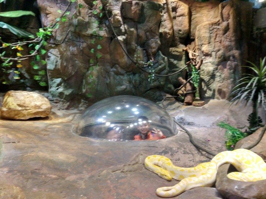 广州番禺区长隆野生动物世界缆车,广州旅游长隆野生动物世界