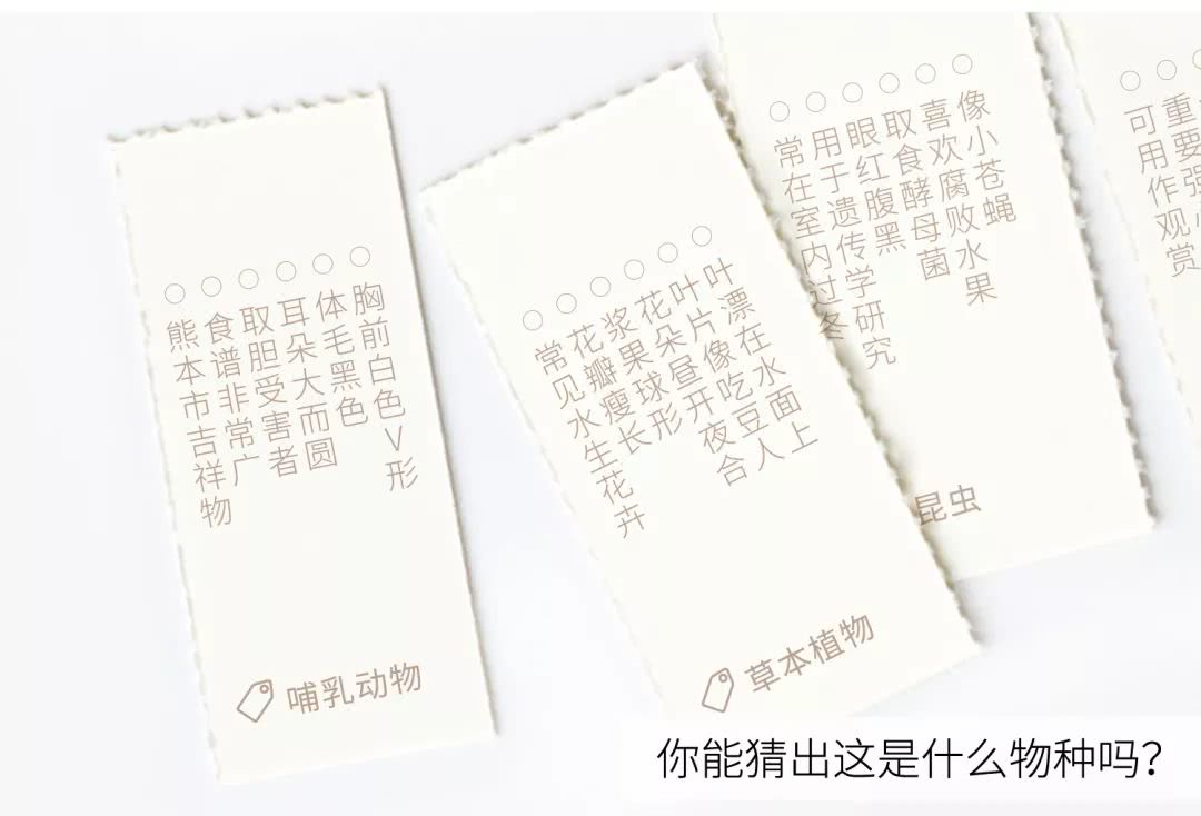 好用又好看的日历,又好看又好用的日历