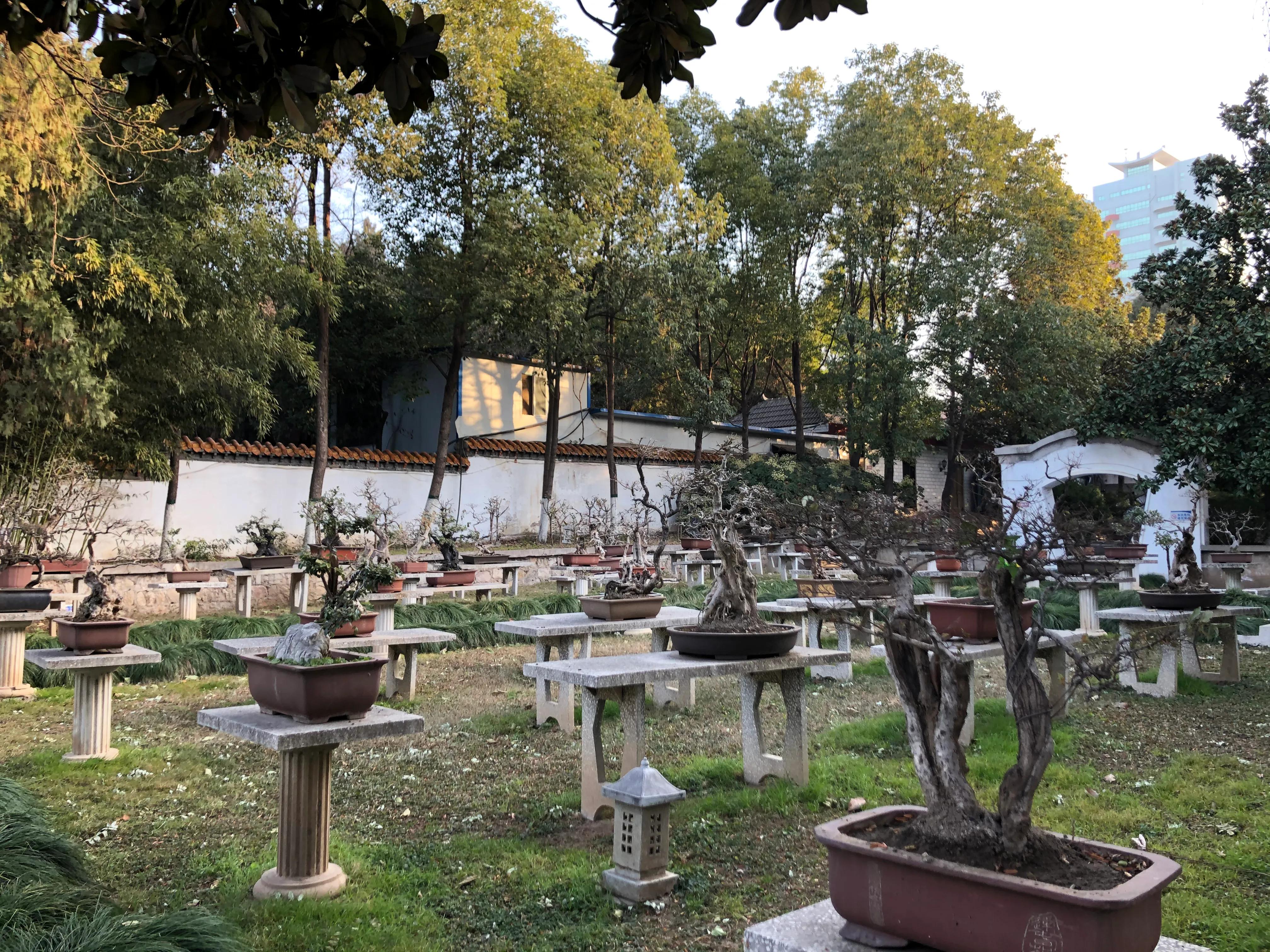 平顶山河滨公园旅游攻略,平顶山森林公园游记