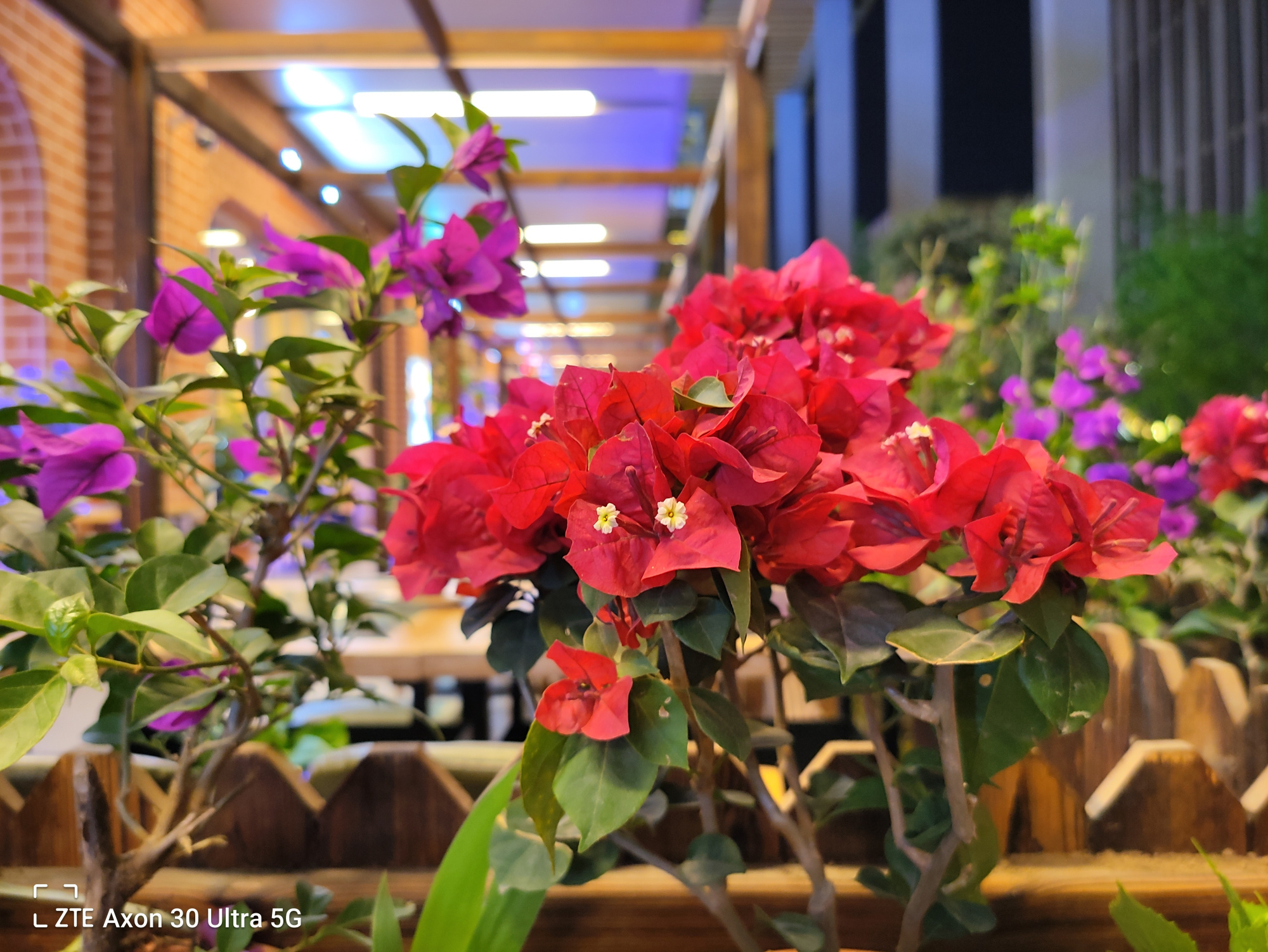 中兴axon30ultra航天版拍照评测,中兴axon30ultra对比努比亚nubiaz30pro