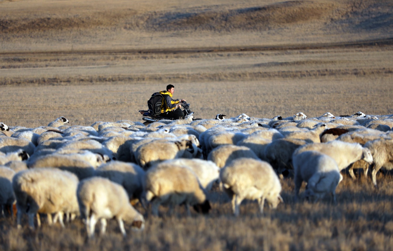 日行八百公里：满洲里“火箭哥”的G10号公路故事