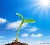 倾情托起未来的蓝天——启迪心智幼儿园的一节课