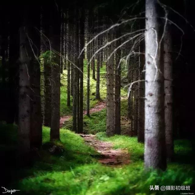 胎儿后期发育慢是什么原因,怀孕后期羊水少是什么原因