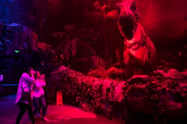 去广州旅游攻略长隆动物园,亲子游广州长隆动物园