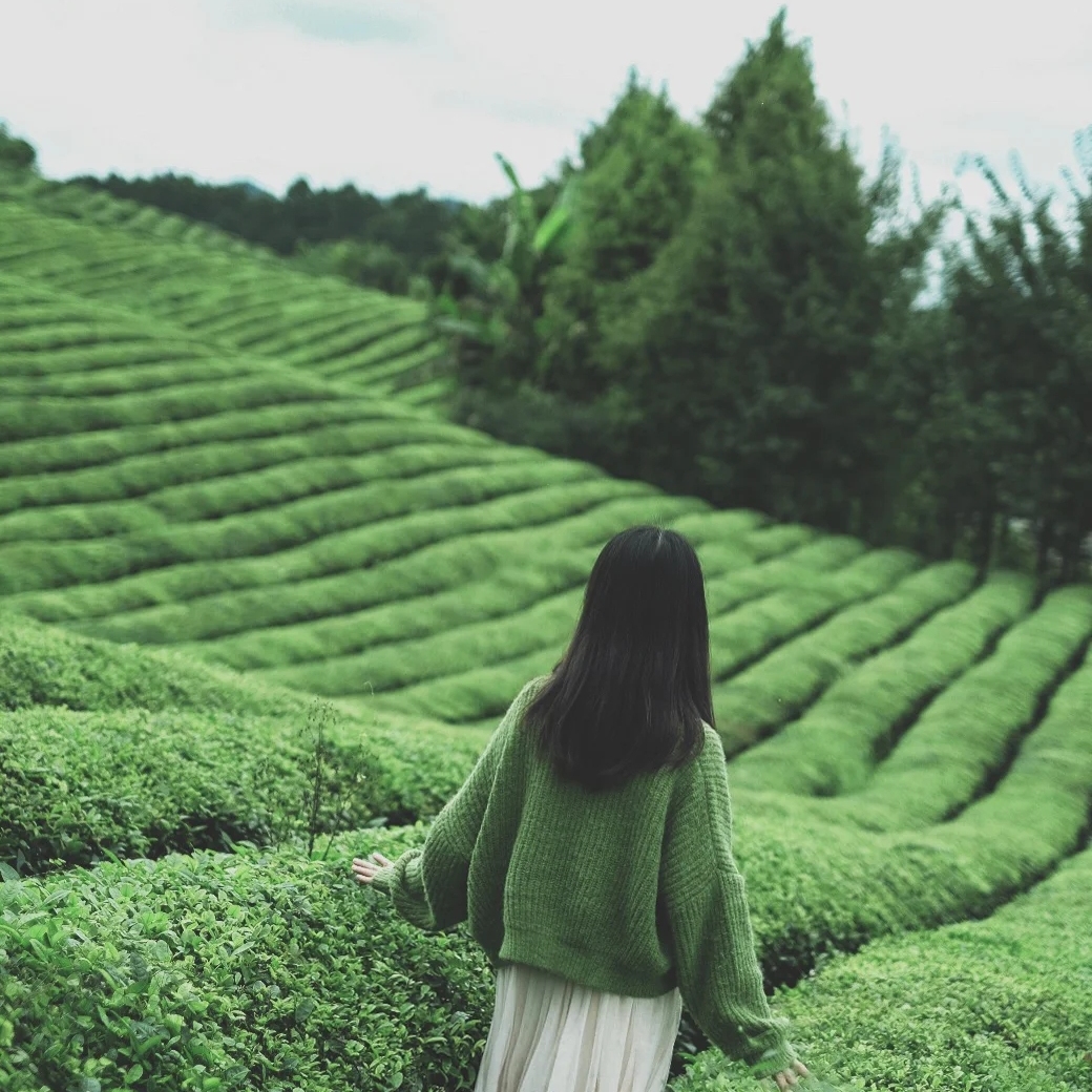 腾冲瑞丽芒市之旅,大美腾冲瑞丽游