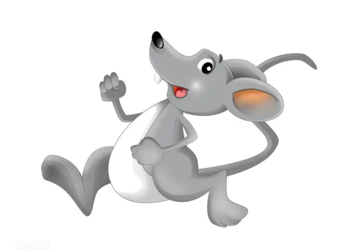 老鼠为什么在农村越来越少,农村常见老鼠图片