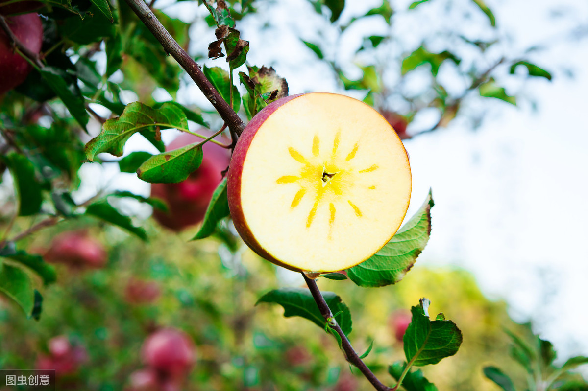 一周减肥计划减肥餐,减肥瘦身餐一周计划