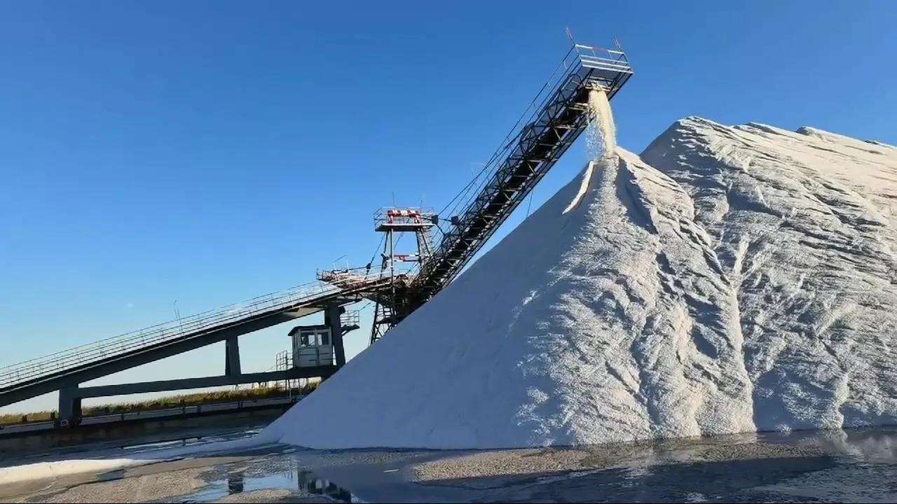 天津滨海新区大沽街道,天津滨海新区塘沽区胡家园街