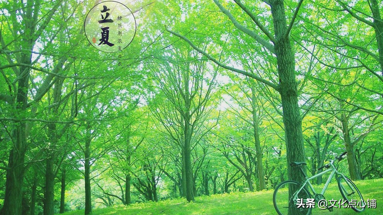 时光荏苒念清欢,岁月静好唯美句子古诗