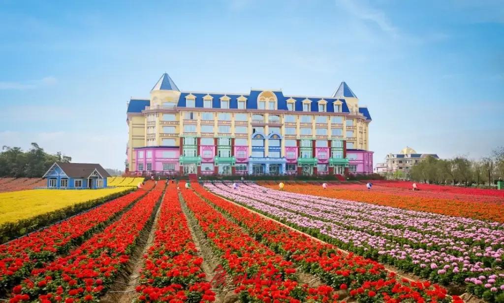 南沙万顷沙是填海吗,南沙万顷沙属于海边吗