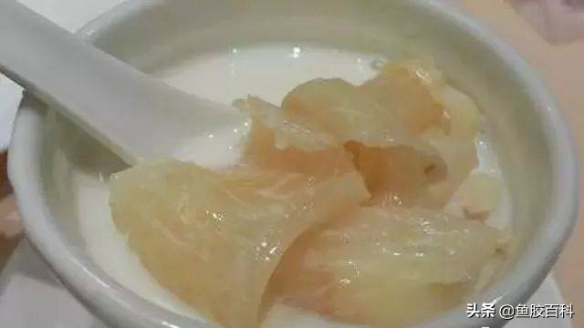 鱼胶要怎样做来吃效果好,鱼胶怎么吃最营养鱼胶的做法大全