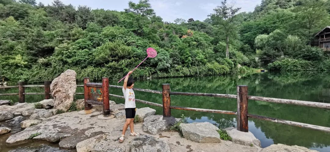 九如山什么季节去最好,九如山赏枫一日游