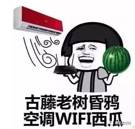 武汉37度高温天气,天气高温武汉