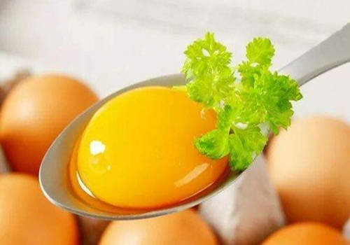 小狗满月喂什么样的狗粮,满月的小狗怎么喂养能吃狗粮吗