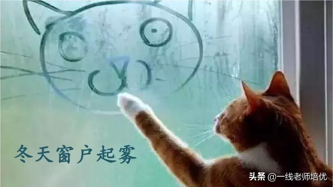 部编版语文第5单元三年级上册,部编版三年级语文上册第三单元