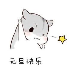 银川朗阁新年档丨跨个年！秃了！