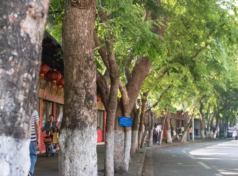 璧拌繘鑲囧簡,璧拌繘鑲囧簡浜嗚В鑲囧簡