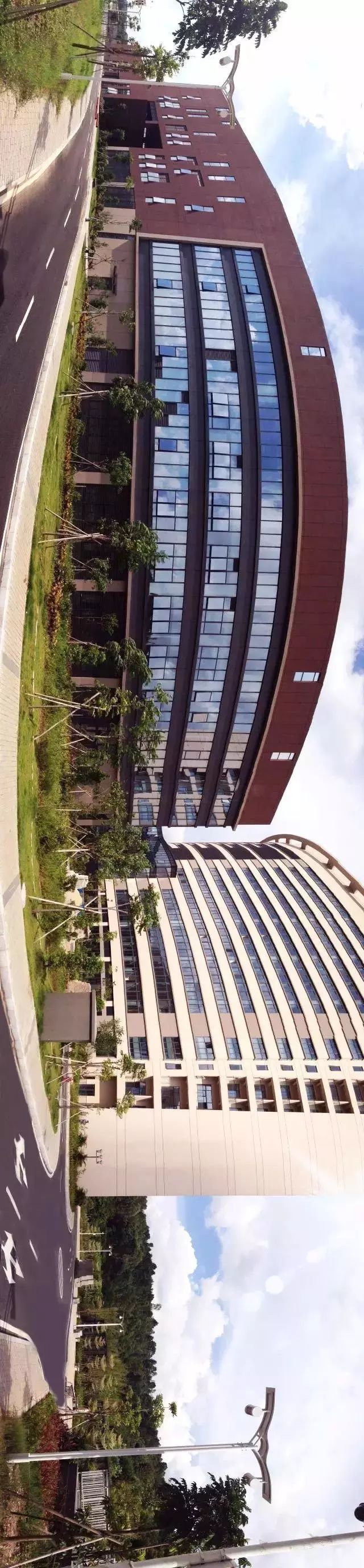 肿瘤国家队南下深圳,“2年走了别人10年的路”