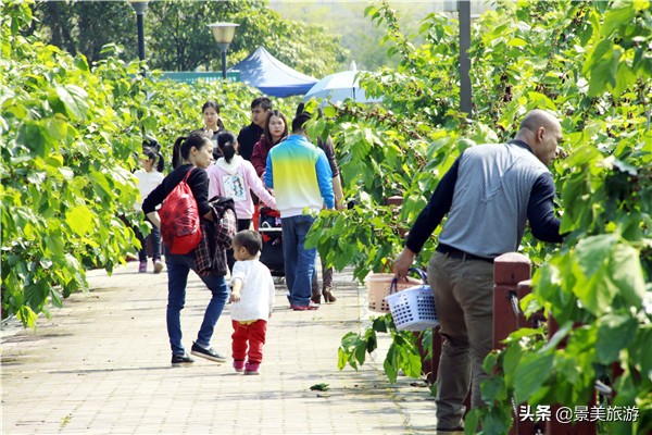 南海渔耕粤韵文化园,广东渔耕文化旅游园