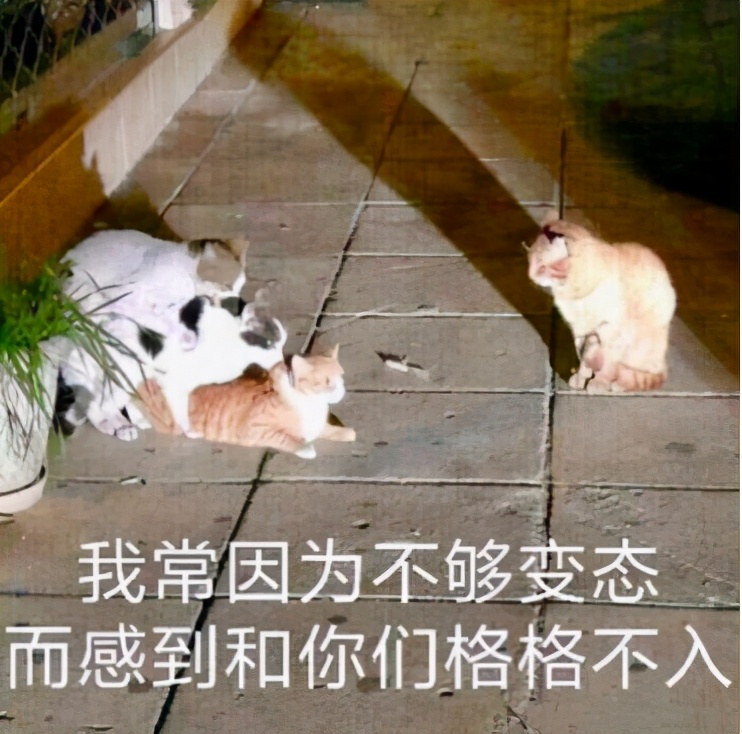 投资失败，5死5伤！远离自杀式投资