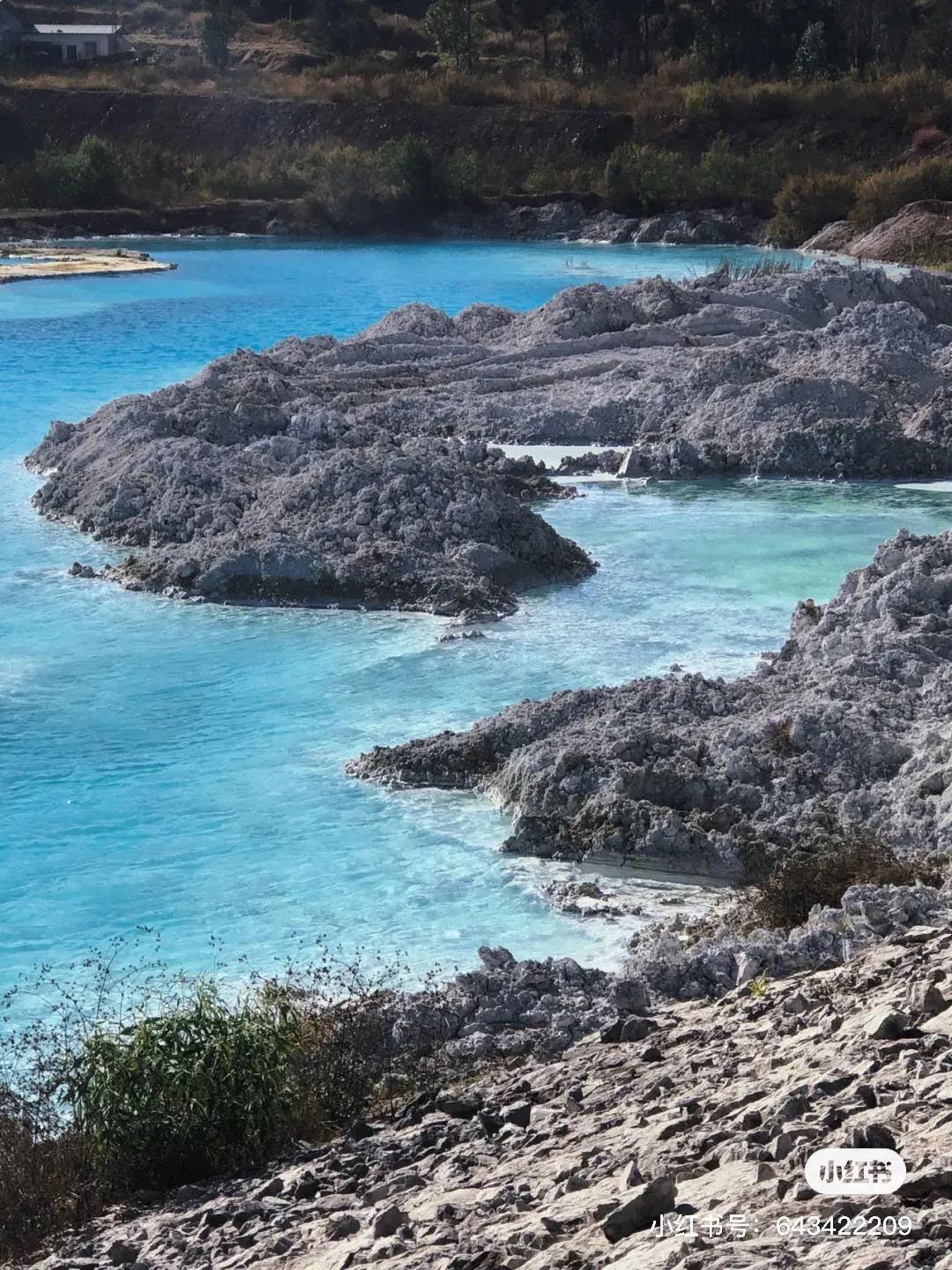 昆明避暑冷惨了外省人,昆明过冬真实感受