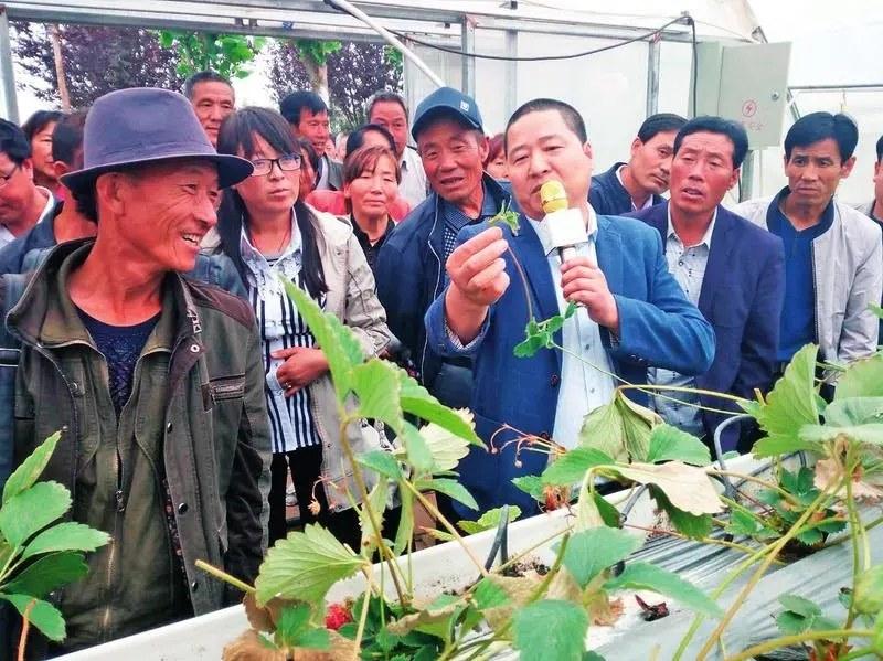 淘宝农业春耕活动,淘宝农科院种子