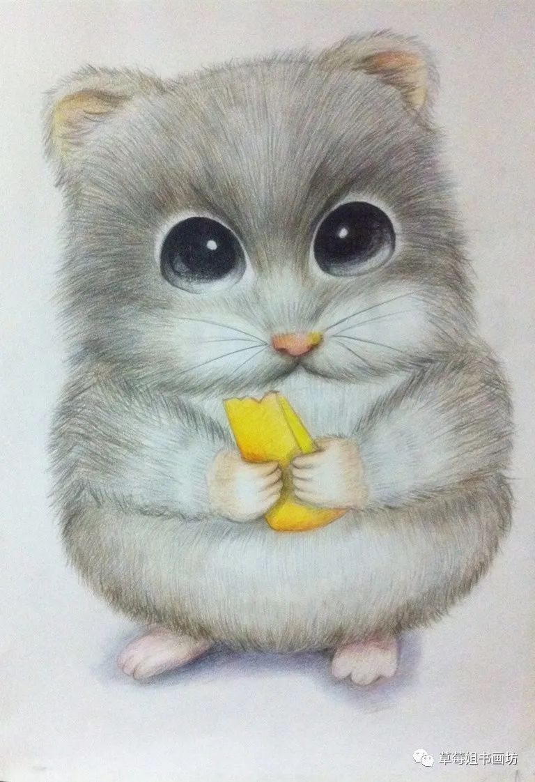 贪吃的小仓鼠怎么画,小仓鼠怎么画马克笔