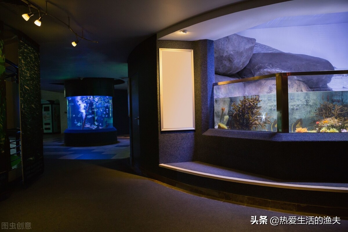 养锦鲤的水族箱什么过滤系统最好,哪种鱼缸过滤系统养锦鲤最好用