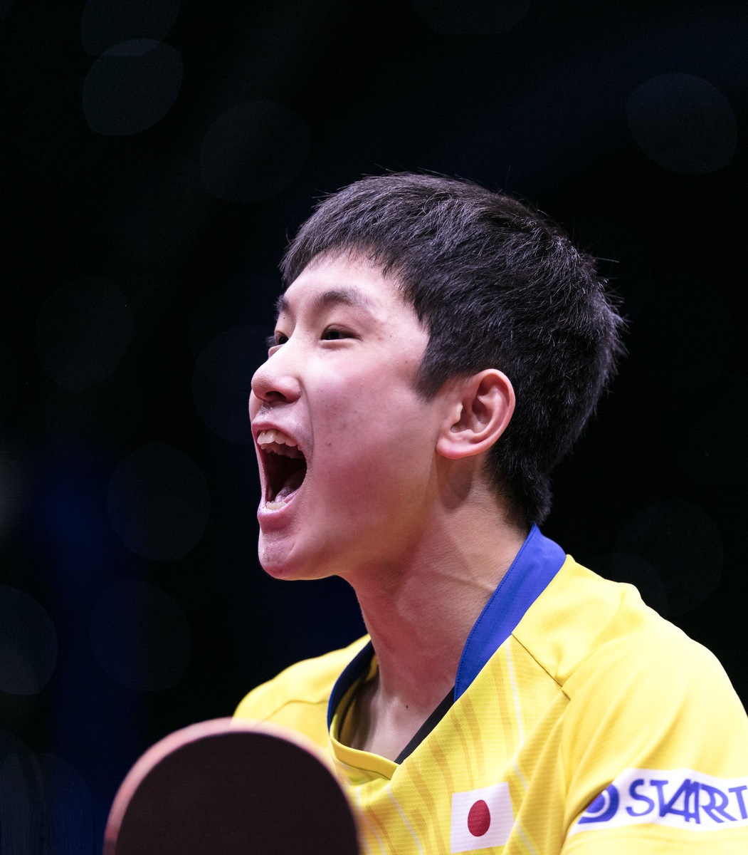 向鹏退出国家队了吗,向鹏退出世乒赛直通赛