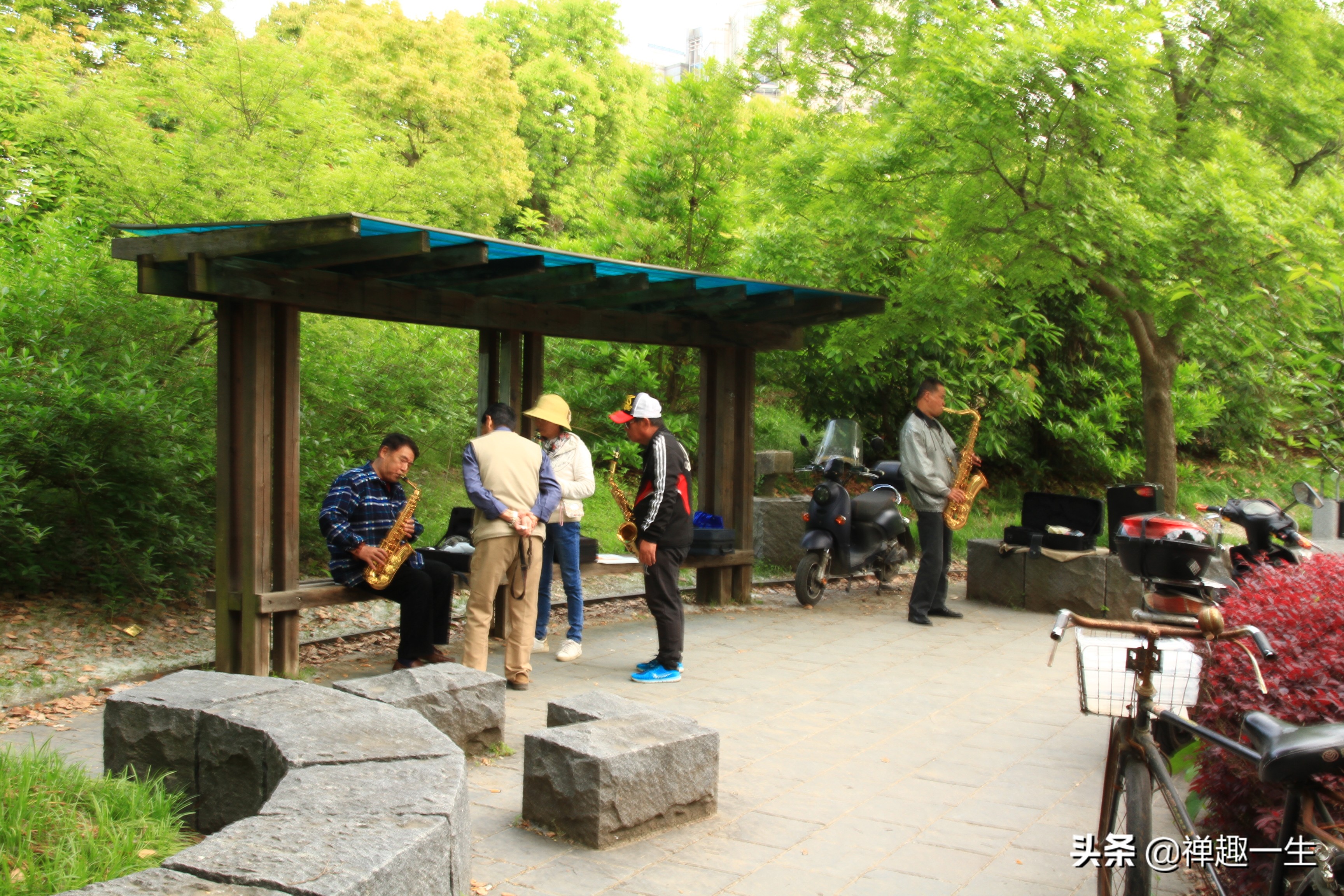 九曲江湾，十里湿地，鸟语花香，沪上最美中心城区，您去过吗？