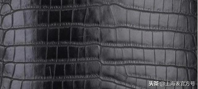 如何一眼辨别鳄鱼皮,三分钟教你读懂鳄鱼皮