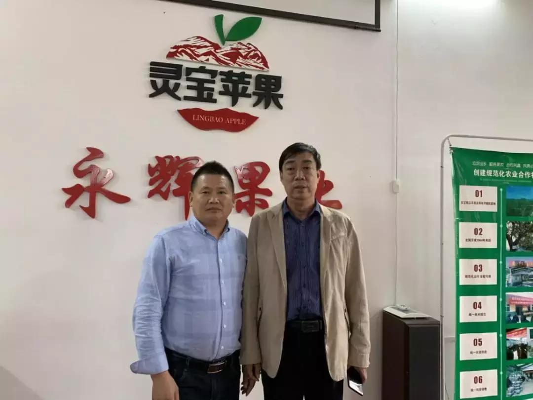 30元一颗的“灵宝金苹果”,如何在跌宕起伏的水果行业稳固生存?