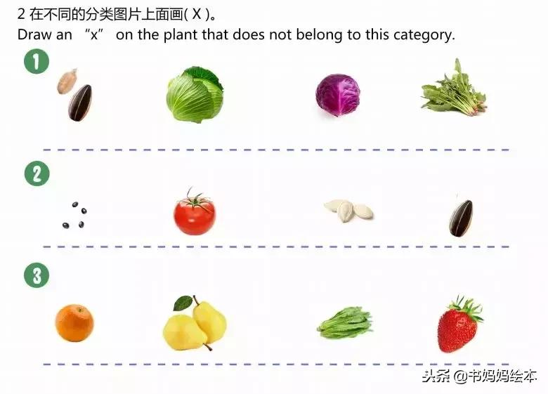 英文绘本好处,英文绘本书怎么做