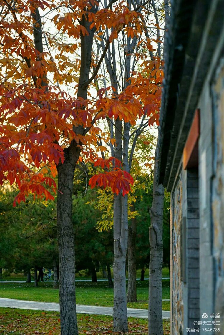 玉泉山北坞公园介绍,北坞村玉泉山