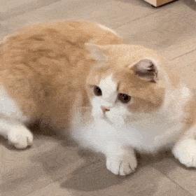 统计局调查队工资一月多少,国家统计局调查队工资由哪里发放