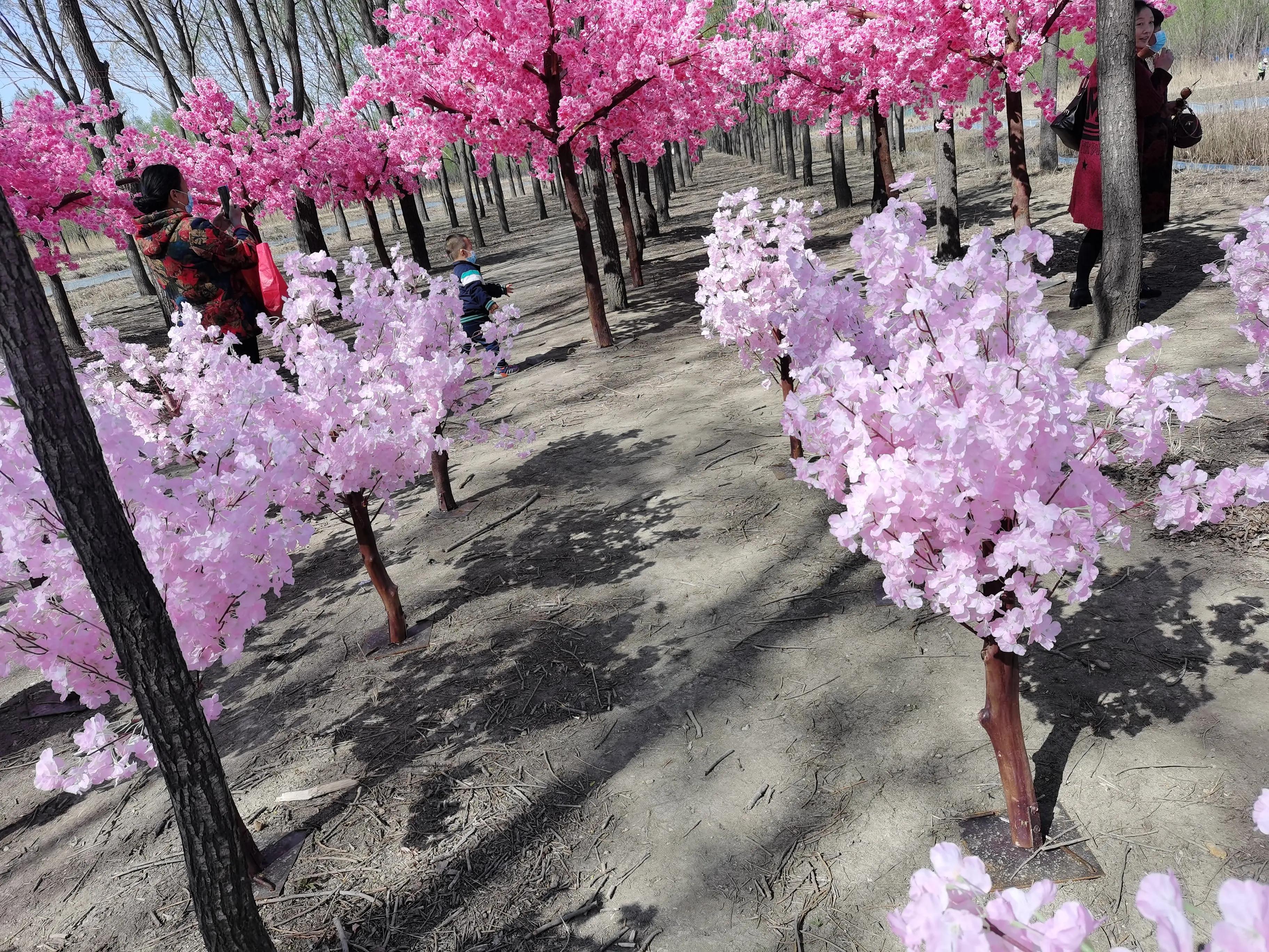 丰南半亩方塘景区,唐山丰南半亩方塘怎么样