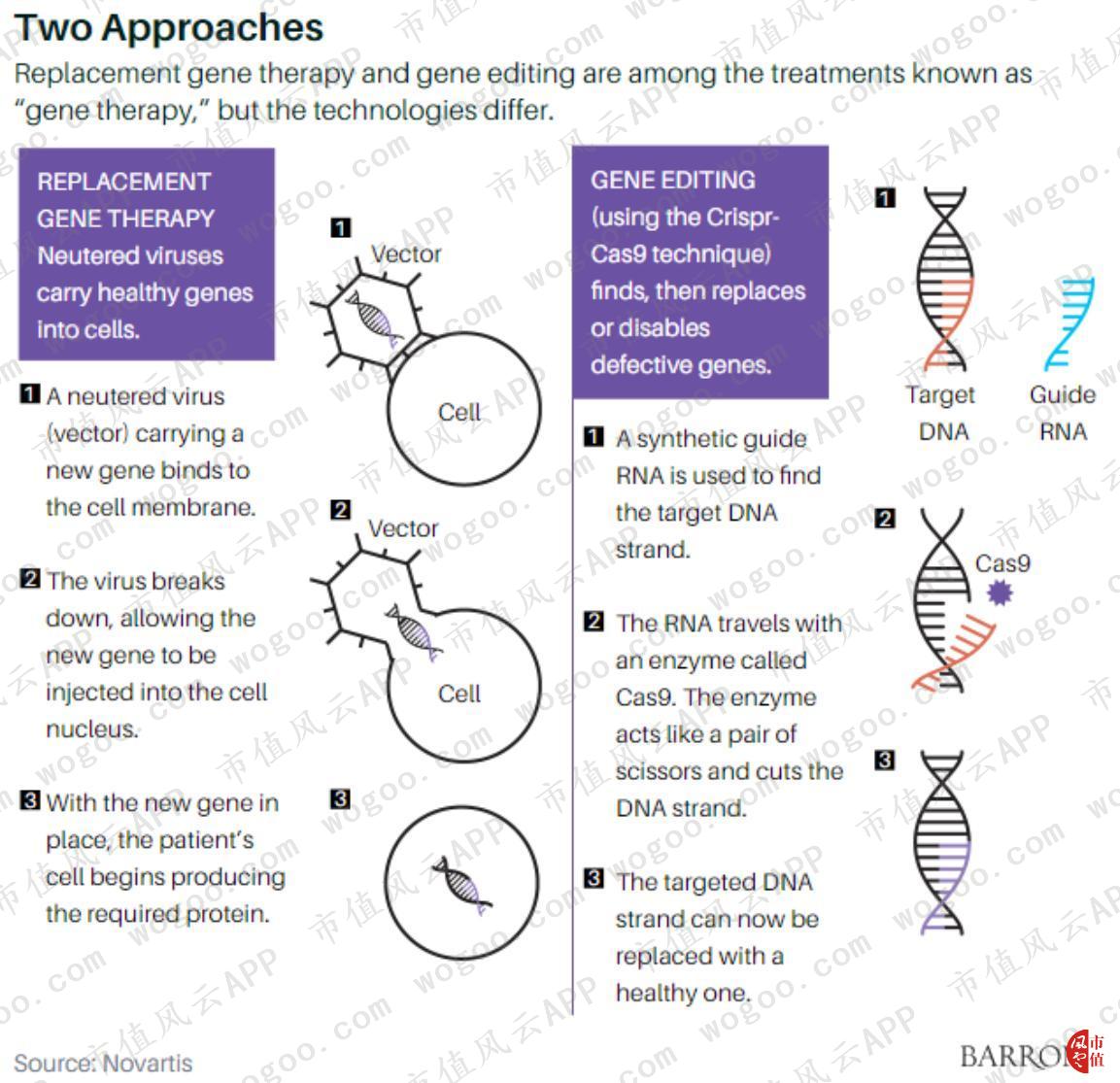 基因治疗项目投资,基因治疗如何成就投资先机